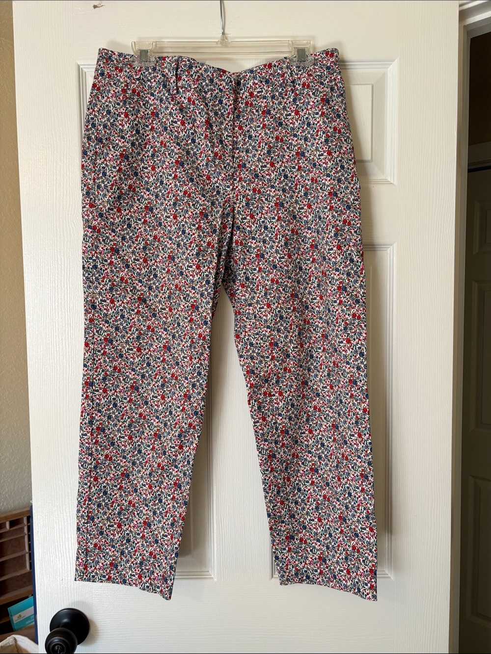 LOFT Women's Ankle Floral Cropped Pants - Red, Blue, White